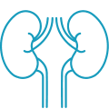 Urologia
