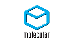 molecular molecular