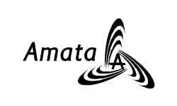 Amata Amata